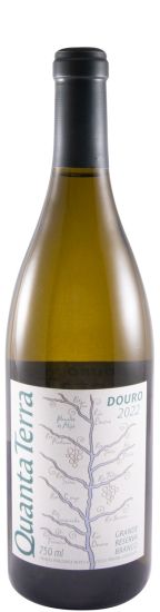 2022 Quanta Terra Grande Reserva white (damaged label)