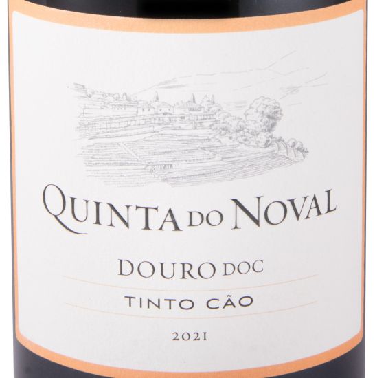 2021 Quinta do Noval Tinto Cão red