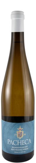 2023 Pacheca Sauvignon Blanc white