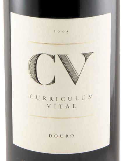 2005 Curriculum Vitae red