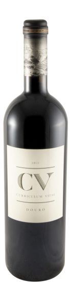 2011 Curriculum Vitae tinto