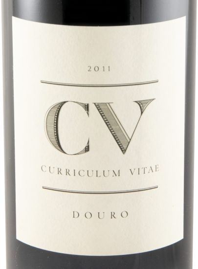 2011 Curriculum Vitae tinto