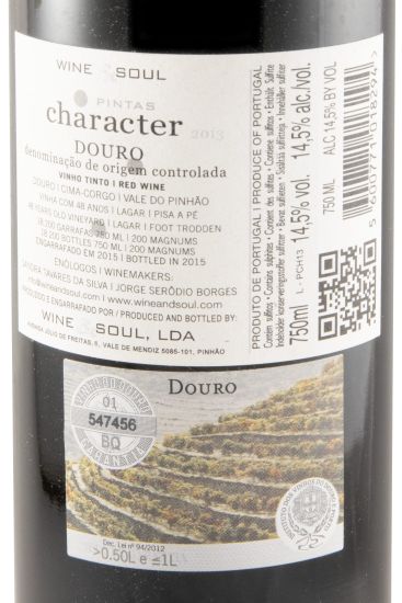 2013 Pintas Character tinto