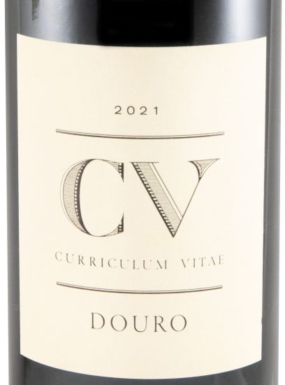 2021 Curriculum Vitae tinto