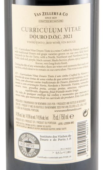 2021 Curriculum Vitae tinto