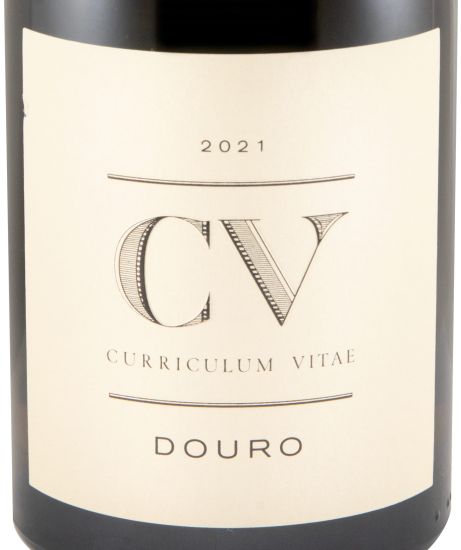 2021 Curriculum Vitae branco