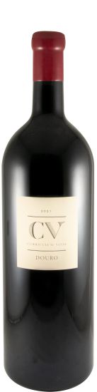 2021 Curriculum Vitae tinto 3L