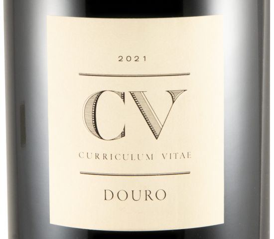 2021 Curriculum Vitae tinto 3L