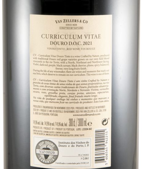 2021 Curriculum Vitae tinto 3L