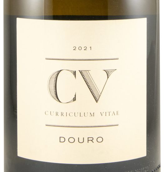 2021 Curriculum Vitae branco 1,5L