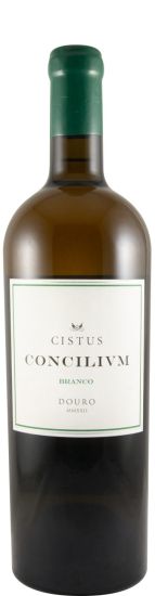 2022 Cistus Concilium branco