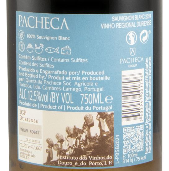 2024 Pacheca Sauvignon Blanc white
