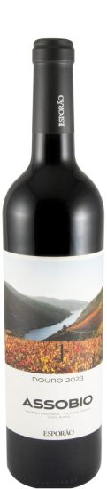 2023 Assobio red