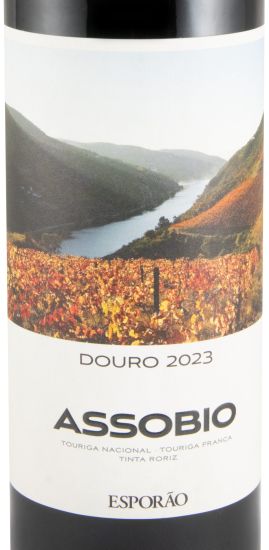 2023 Assobio red