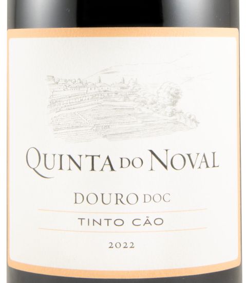 2022 Quinta do Noval Tinto Cão tinto