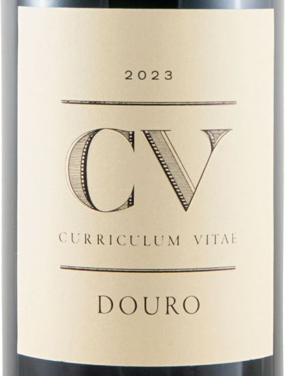 2023 Curriculum Vitae tinto