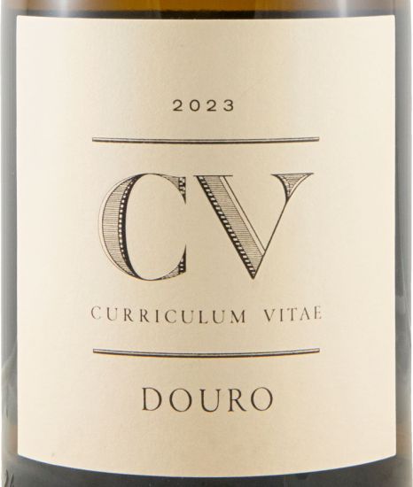 2023 Curriculum Vitae white