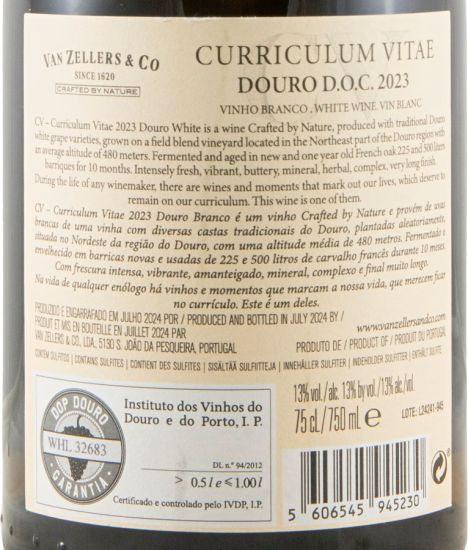 2023 Curriculum Vitae white