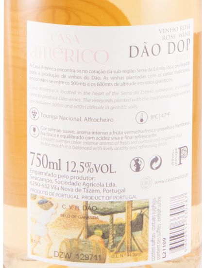 2020 Casa Américo rosé