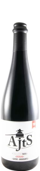 2019 Ajts Escolha red