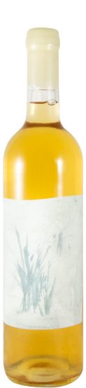 2024 Tau Curtimenta white
