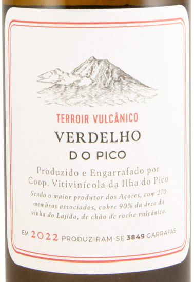 2022 Picowines Verdelho white