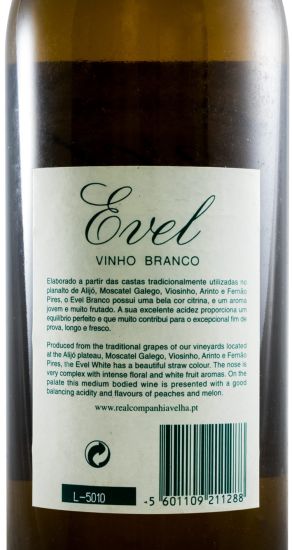 2004 Evel branco