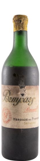 Pinheiro da Cruz Bempaes white