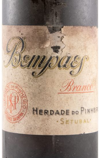 Pinheiro da Cruz Bempaes white