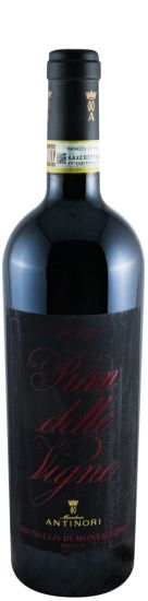 2013 Pian delle Vigne Brunello di Montalcino tinto