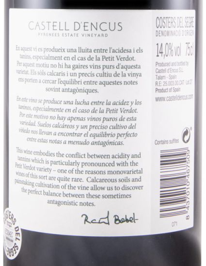 2017 Castell d'Encús Saktih PV tinto