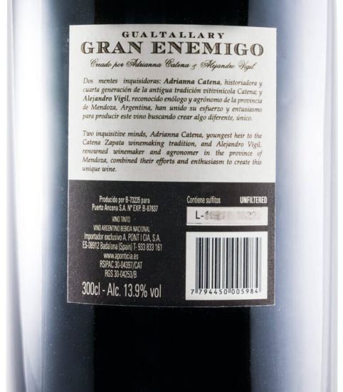 2013 Gran Enemigo Gualtallary tinto 3L