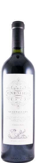 2013 Gran Enemigo Gualtallary red