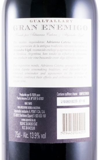 2013 Gran Enemigo Gualtallary red