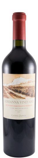 2016 Catena Zapata Adrianna Mundus Bacillus Terrae red