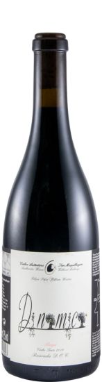 2019 Filipa Pato Dinamica red