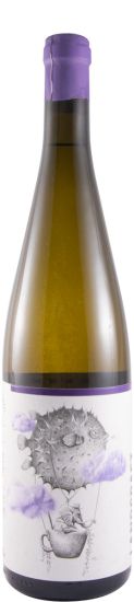 2021 Landcraft Sauvignon Blanc branco