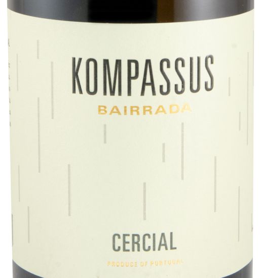 2020 Kompassus Cercial branco