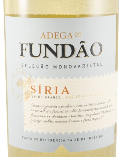 2023 Adega do Fundão Síria Seleção white