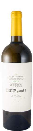 2023 Titan of Beira Interior Indiegente Síria white