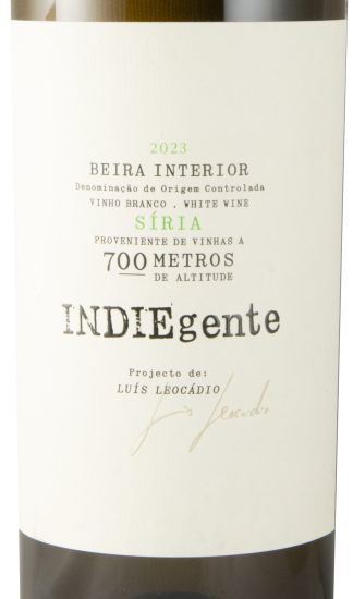 2023 Titan of Beira Interior Indiegente Síria white