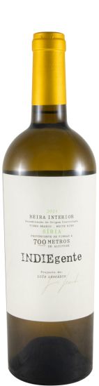2024 Titan of Beira Interior Indiegente Síria branco