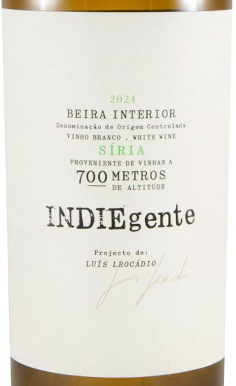 2024 Titan of Beira Interior Indiegente Síria branco