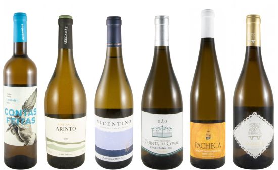 6 White Grape Varieties