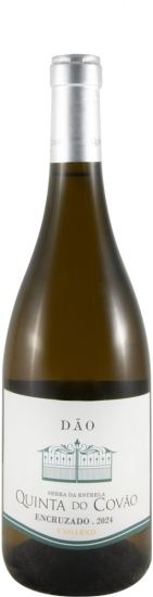 6 White Grape Varieties