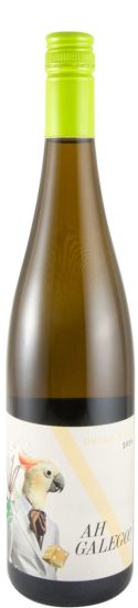 Pelas vinhas de Portugal
