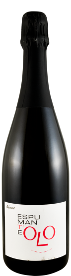 2013 Sparkling Wine Niepoort OLO