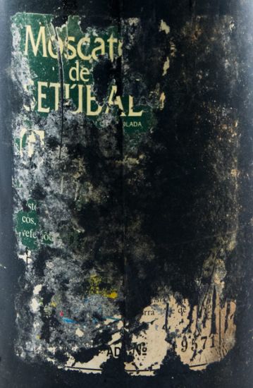 Moscatel de Setúbal Vinicave