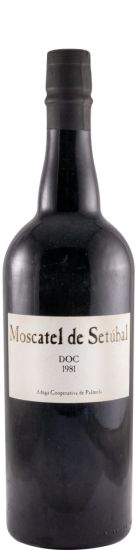 1981 Moscatel de Setúbal Adega Cooperativa de Palmela