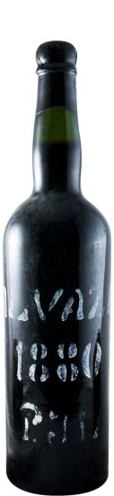 1880 Madeira Artur de Barros e Sousa Jp Lomelino Malvazia